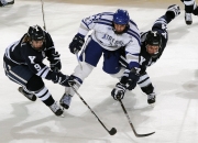 开云体育中国-意甲焦点战启示录，从老鹰打穿热火看足球战术的降维打击