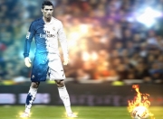 开云APP-跨界传奇，森林狼猎鹰展獠牙，塔图姆欧冠赛场显锋芒