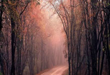 开云体育官方网站-斯洛文尼亚备战欧预赛，备战策略调整的简单介绍