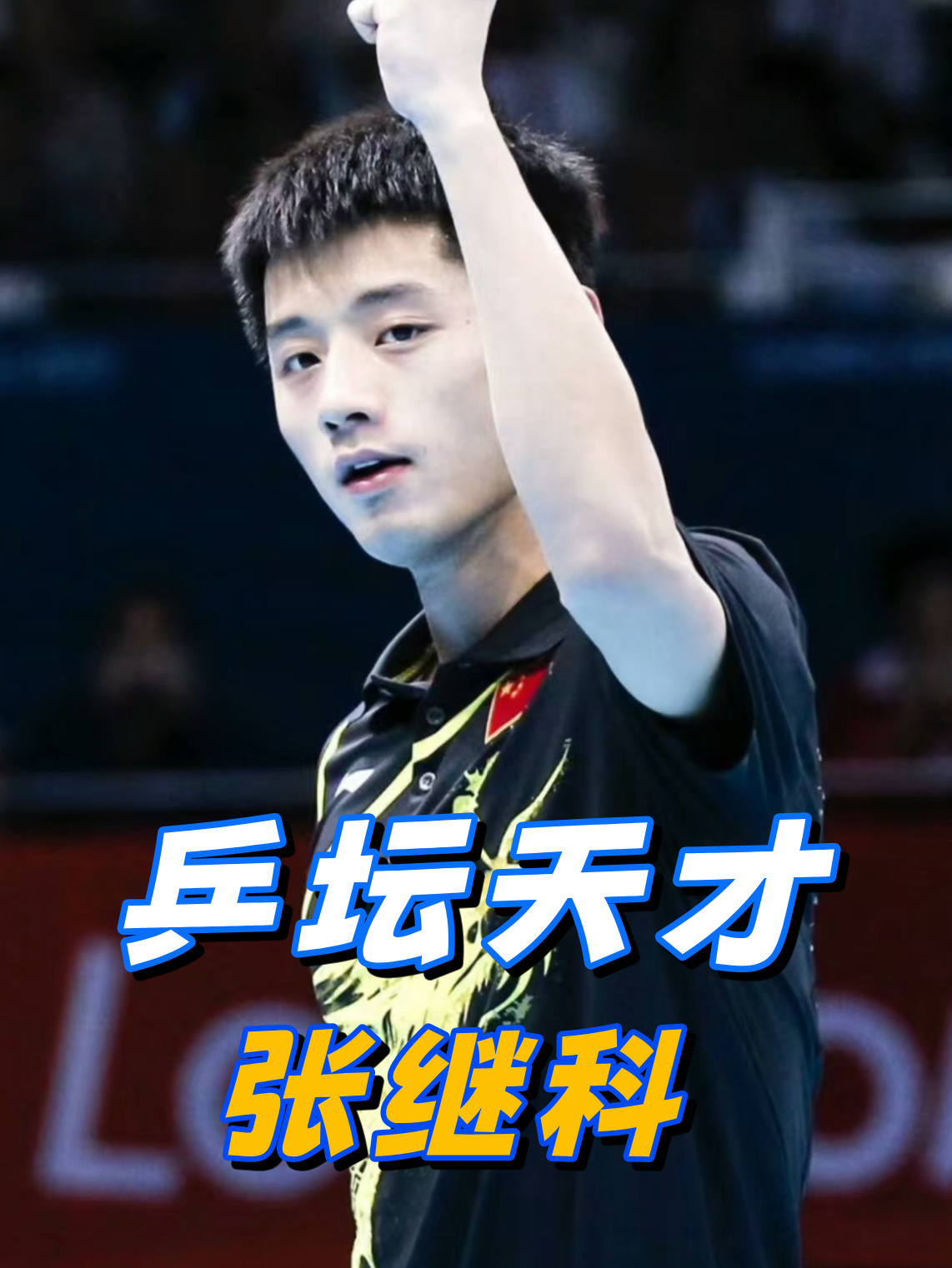 法国乒乓球队翻盘奥地利乒乓球队，张继科高光表现的简单介绍
