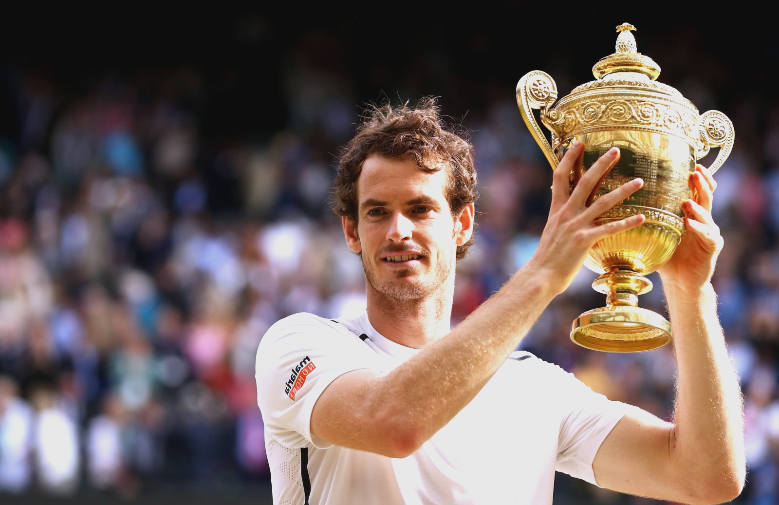 英国网球队险胜日本网球队，穆雷统治全场的简单介绍