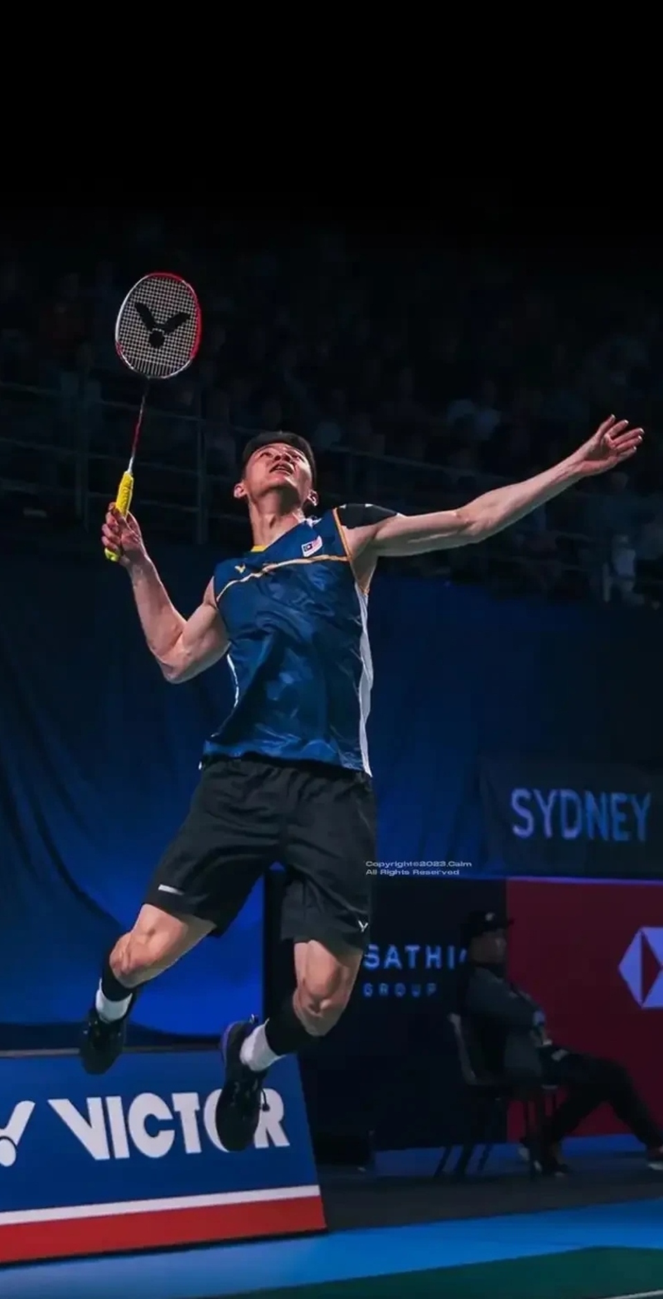 丹麦队横扫印尼队，李梓嘉惊艳四座的简单介绍