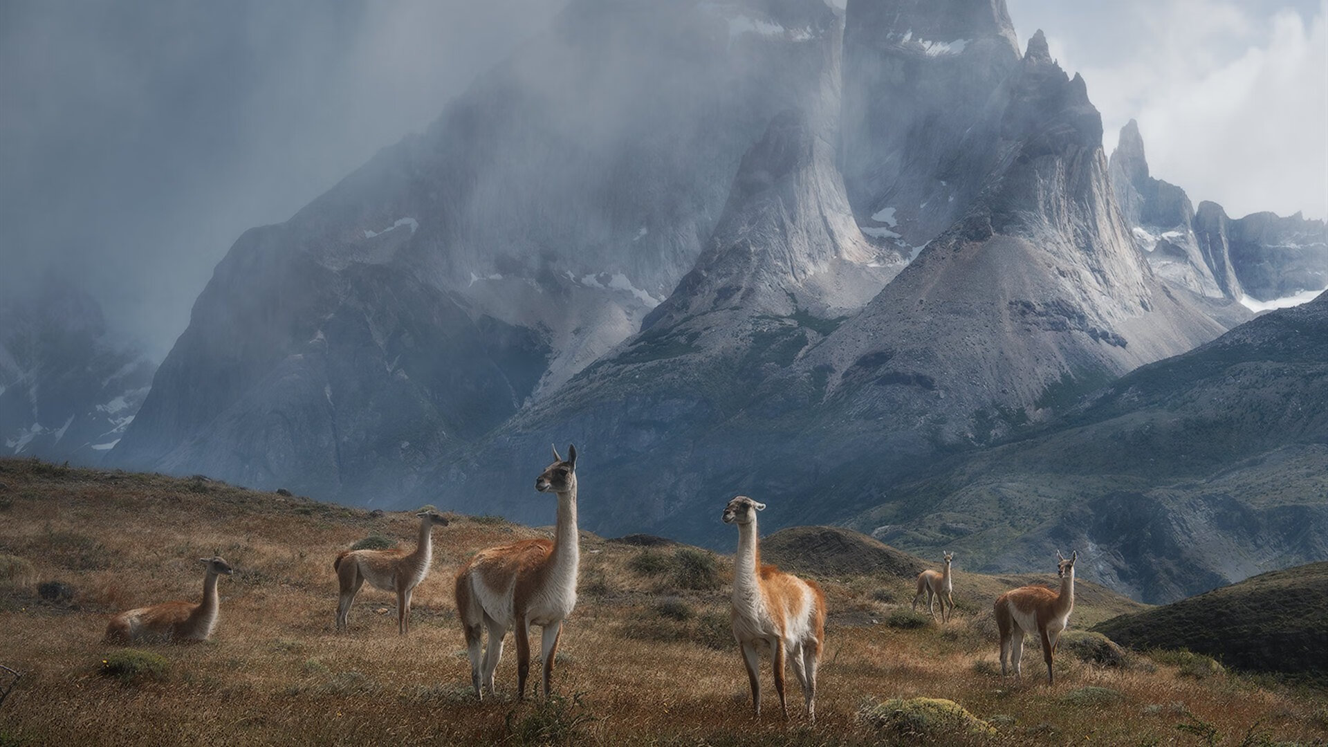 沙漠风暴席卷那不勒斯,哈兰德用实力证明,足球世界没有不可能